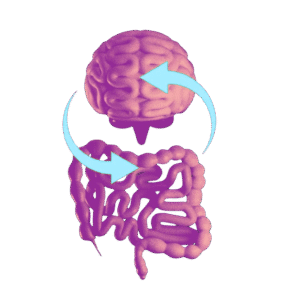 The Brain-Gut Connection